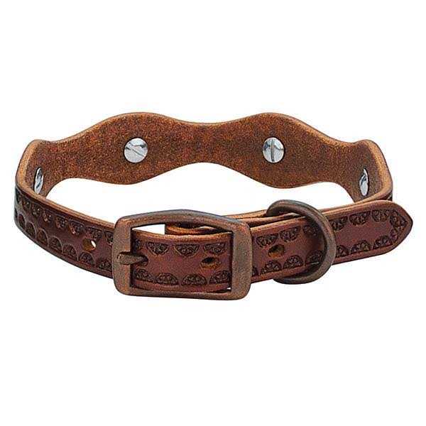 Dog Collar I19425