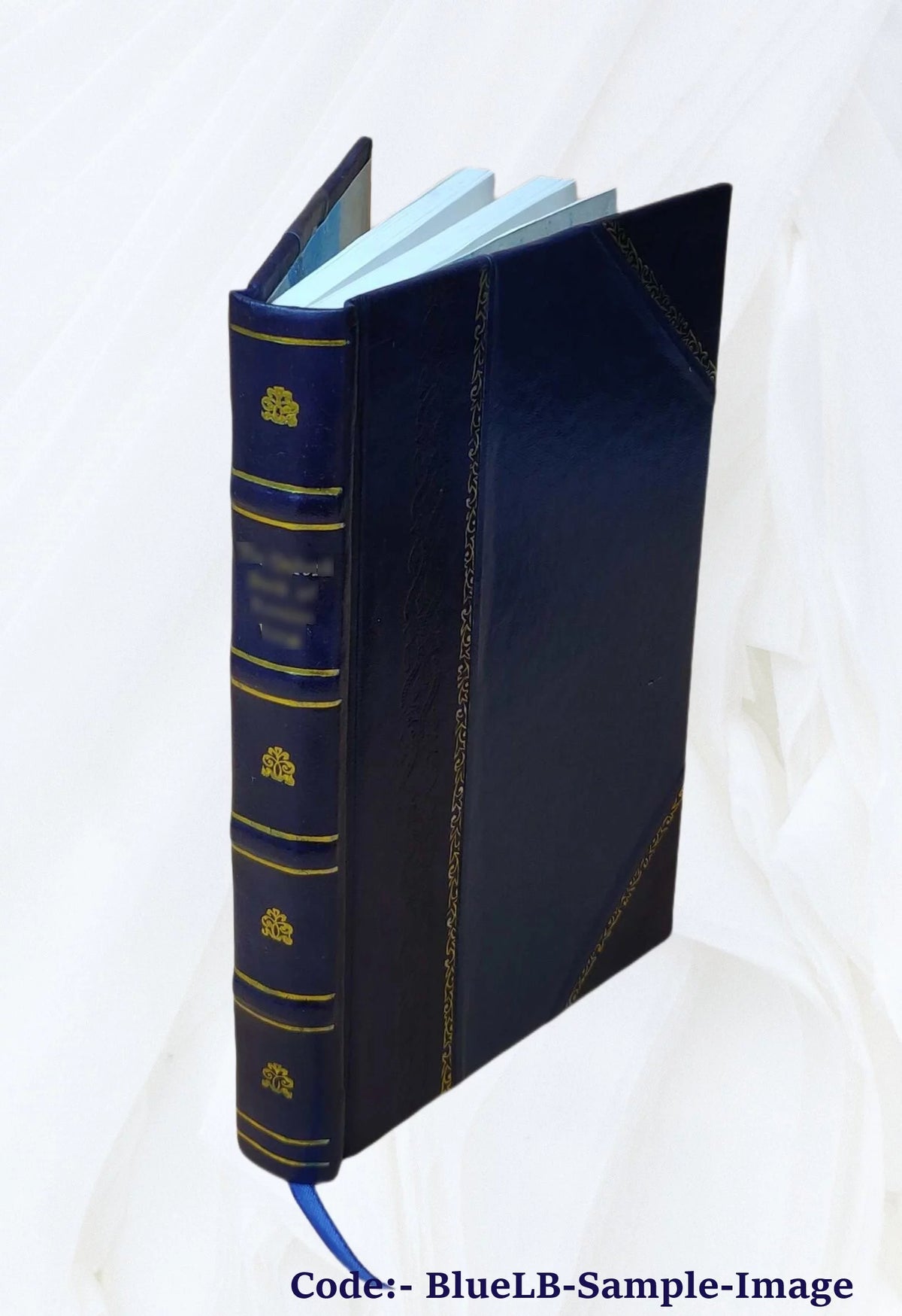 Leather Bound X3979