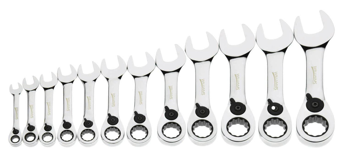 12 Pc Ratcheting Combo Wrench Set C393903