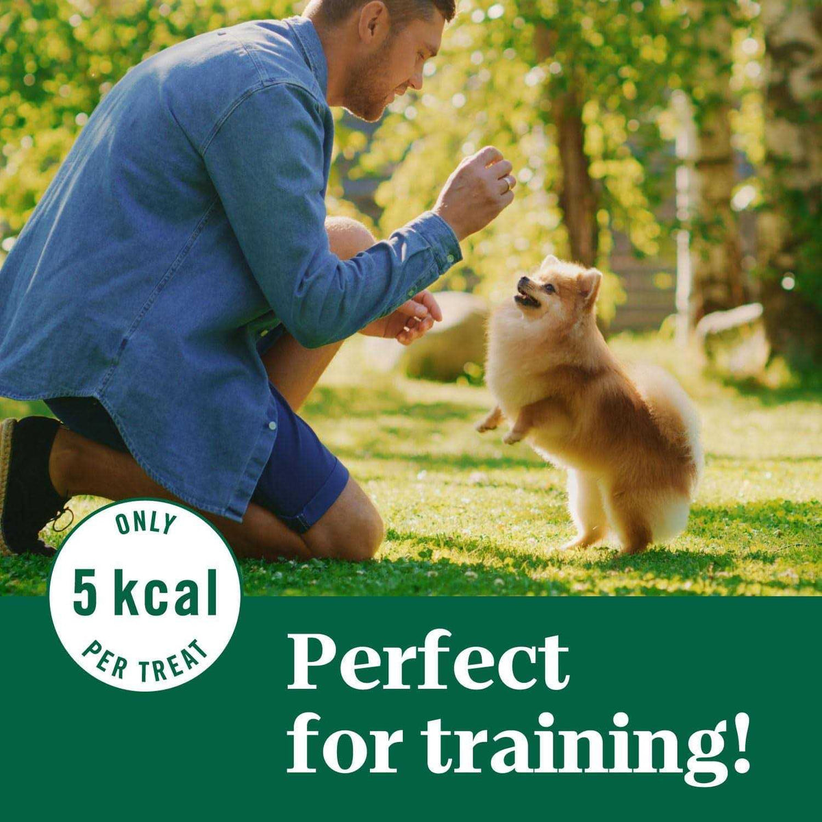 Crunchy Dog Treats L132