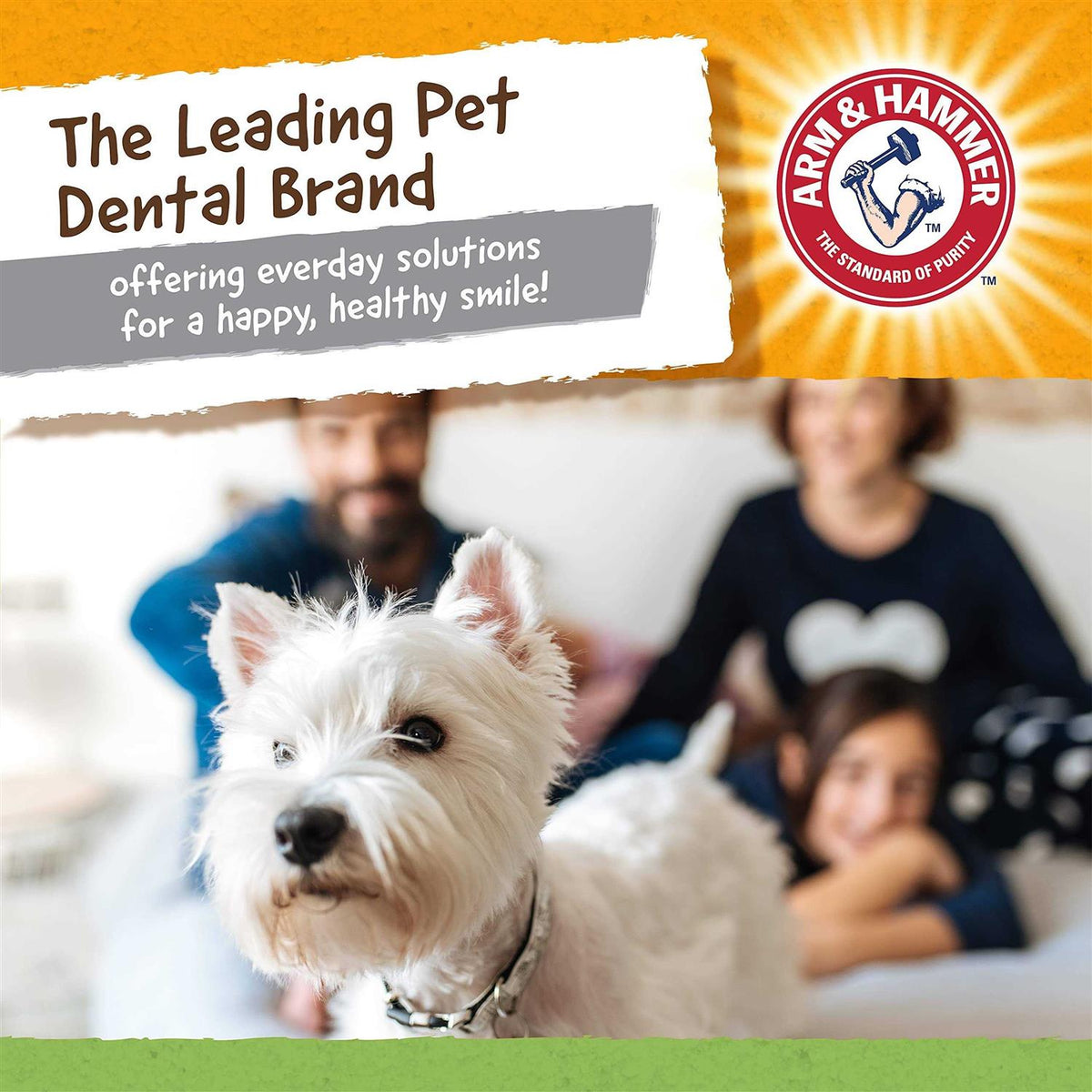 Super Treadz Gator Dental Dog Toy V46291