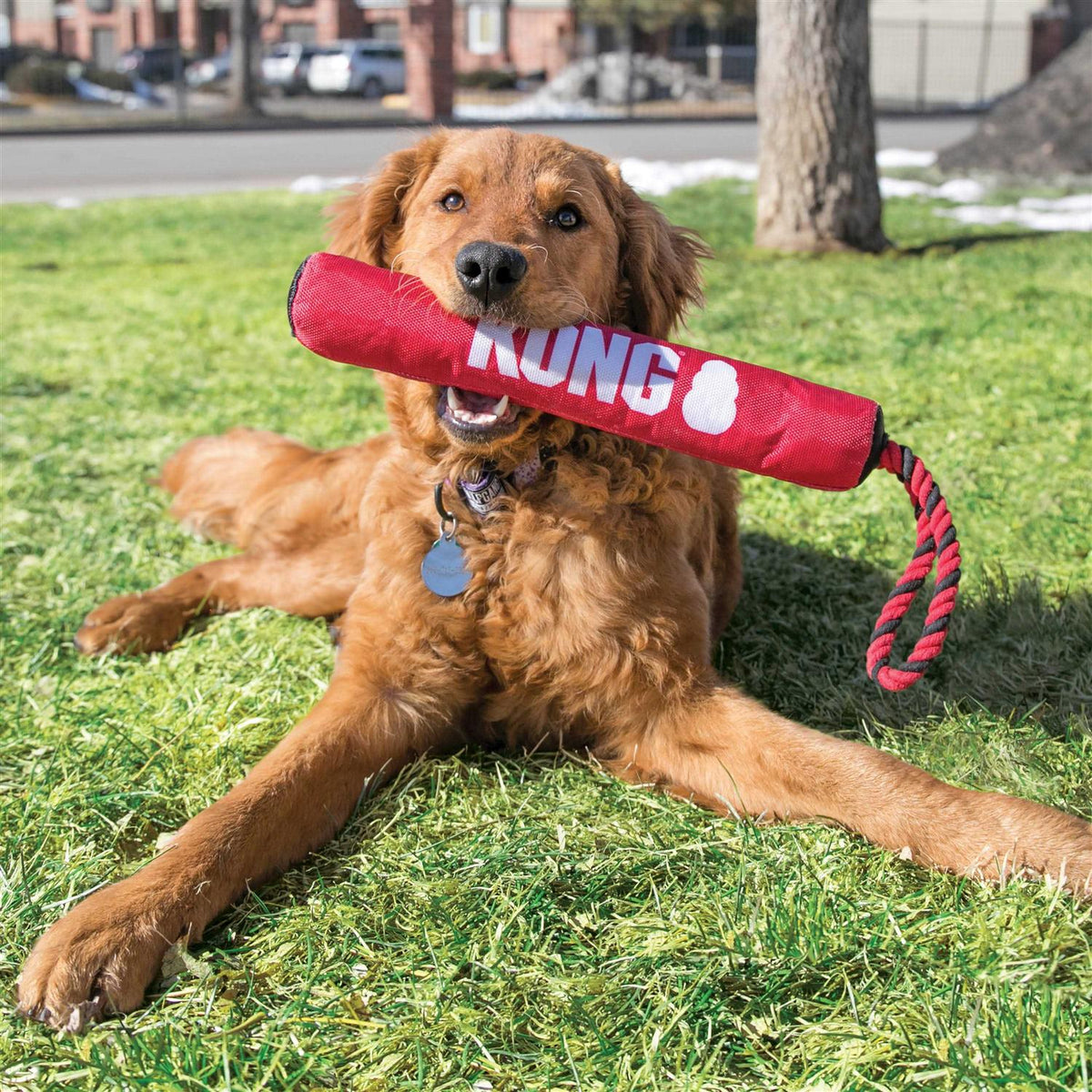 Signature Stick Dog Toy Y374742
