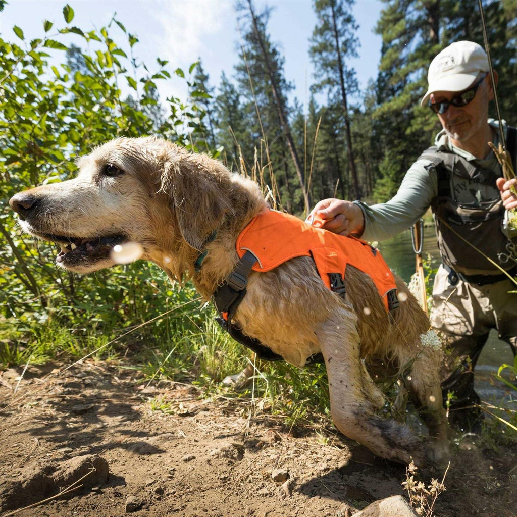 Dog Harness D19314