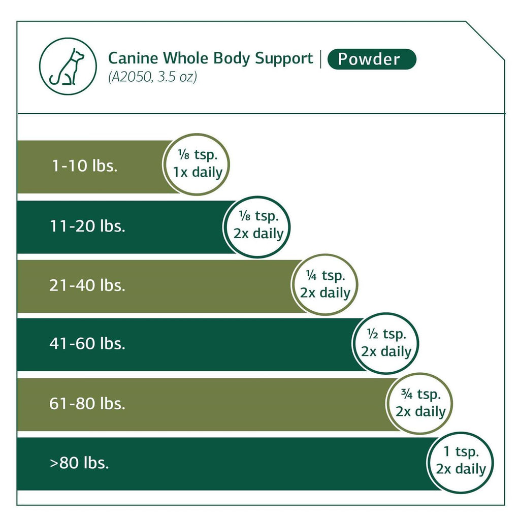 Canine Whole Body Support Y990