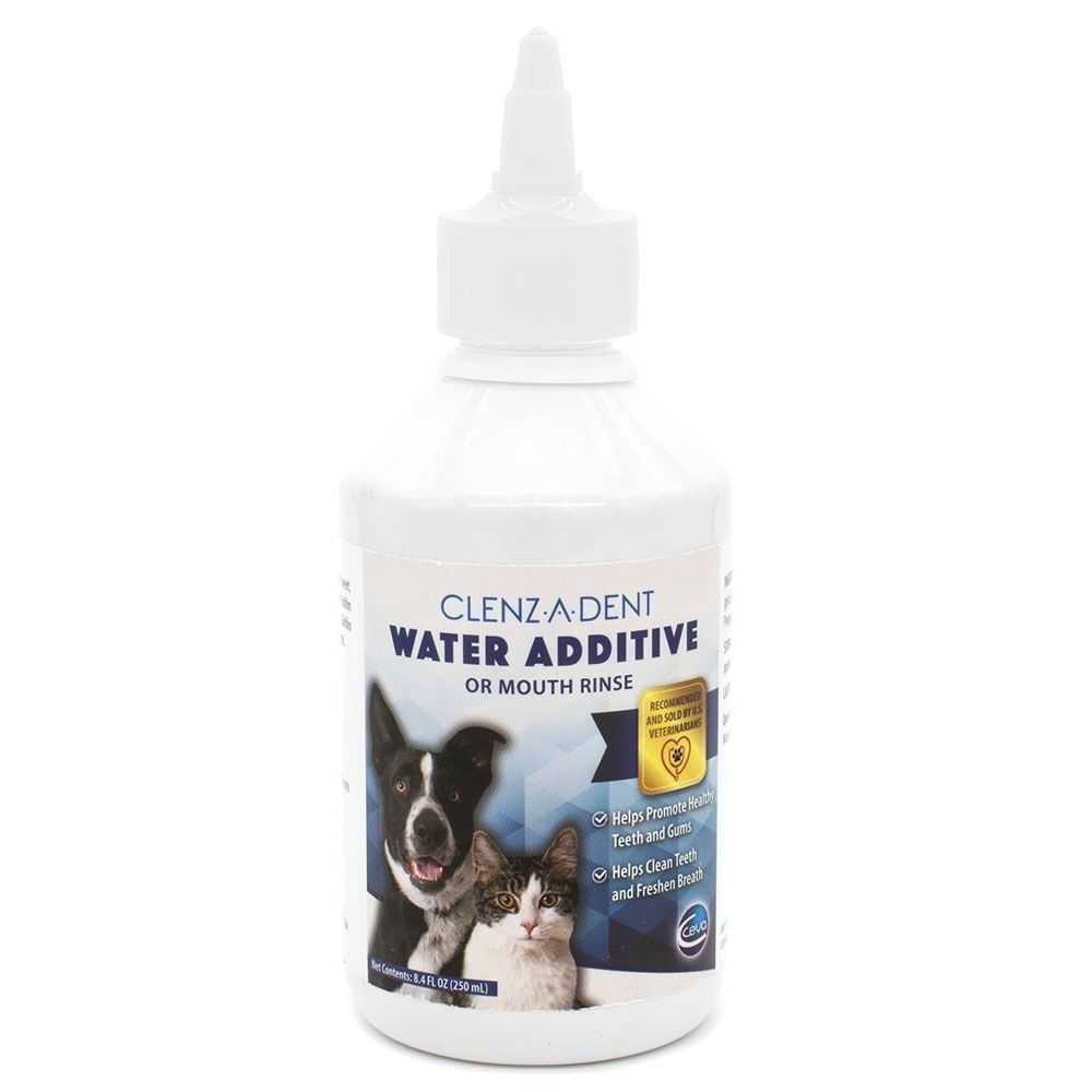 Chlorhexidine Rinse 8oz Bottle L780818