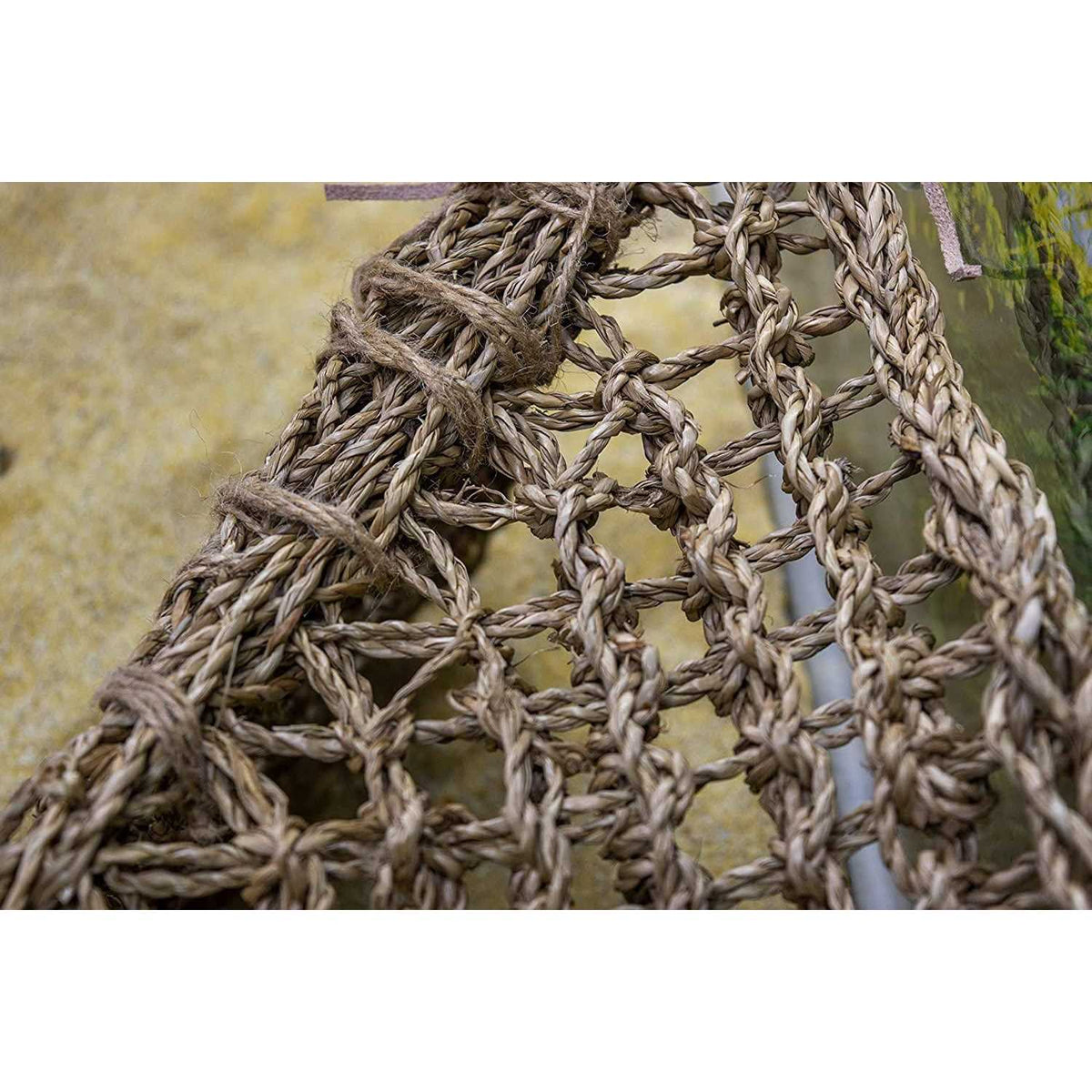 Lizard Lounger T959731