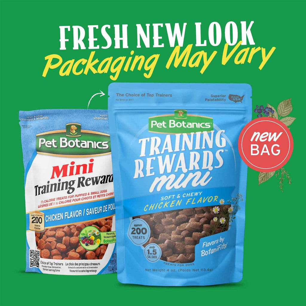 Mini Training Dog F86062