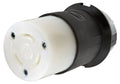 Locking Devices, TwistLock, Industrial Grade, Female Connector Body, Screw Terminal, 30 amp, 125V, 2 V28733