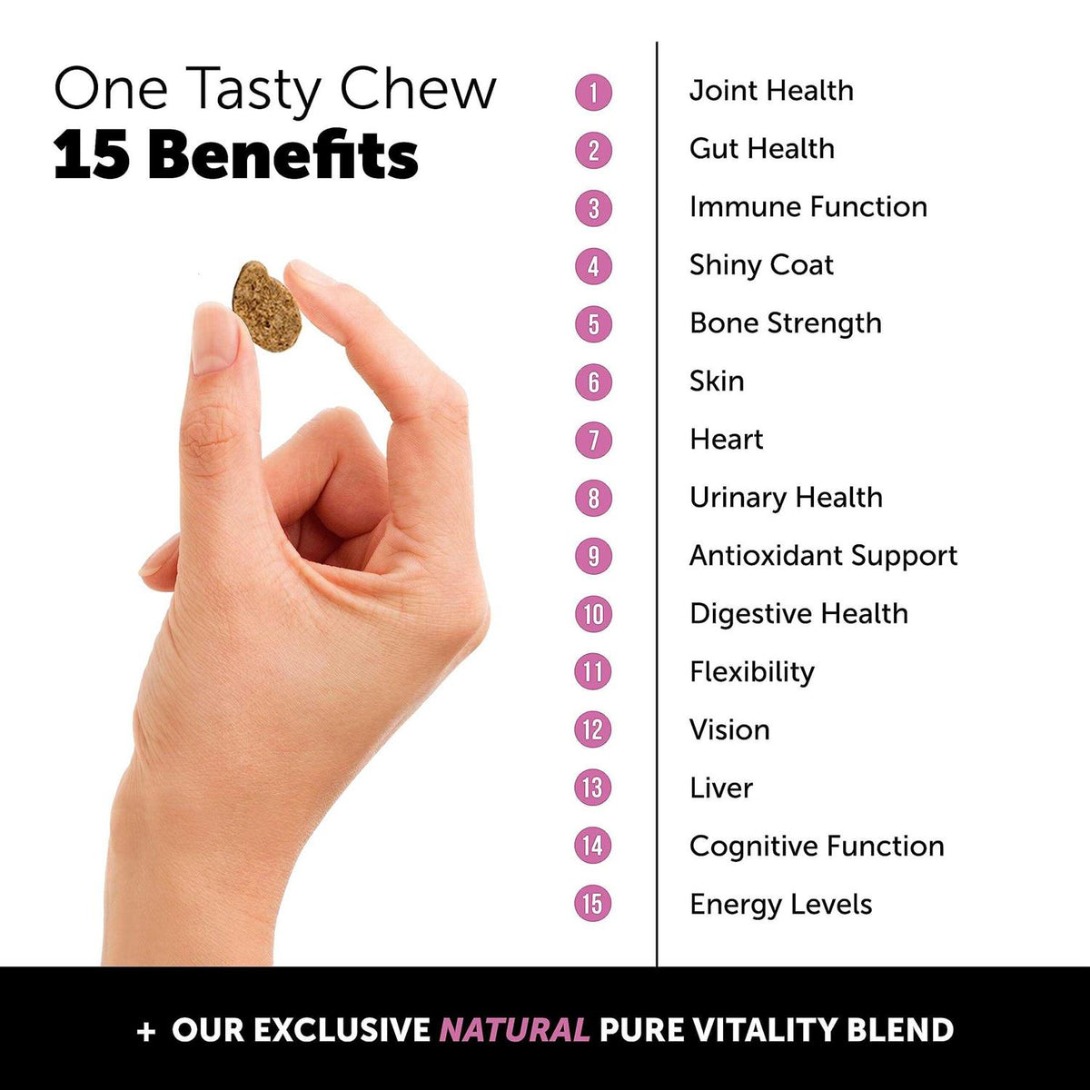 Dog Multivitamin Glucosamine Chews I16058