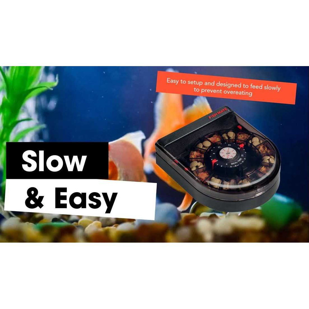 Automatic Aquarium Fish Feeder S288240