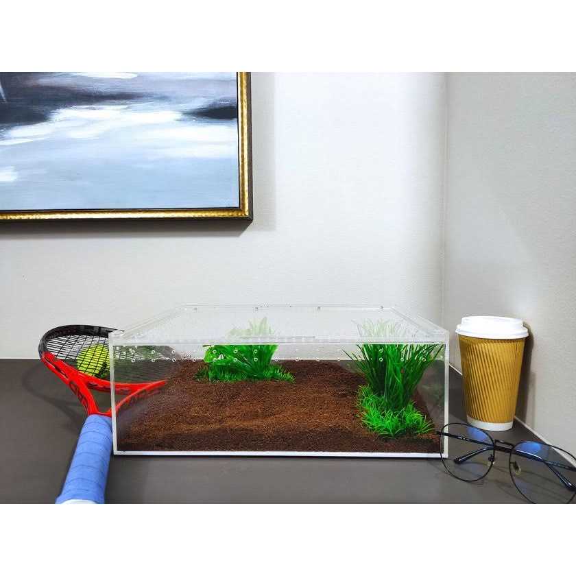 Acrylic Insect & Reptile Terrarium T813165