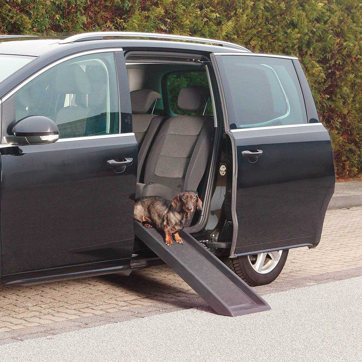 Pet Ramp B395794