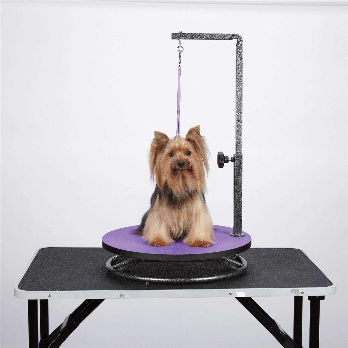 Small Pet Grooming Table O959