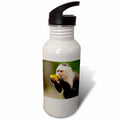 Sports Water Bottle C43526
