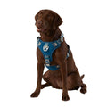 Navy Quick-Dry Dog Harness F8093