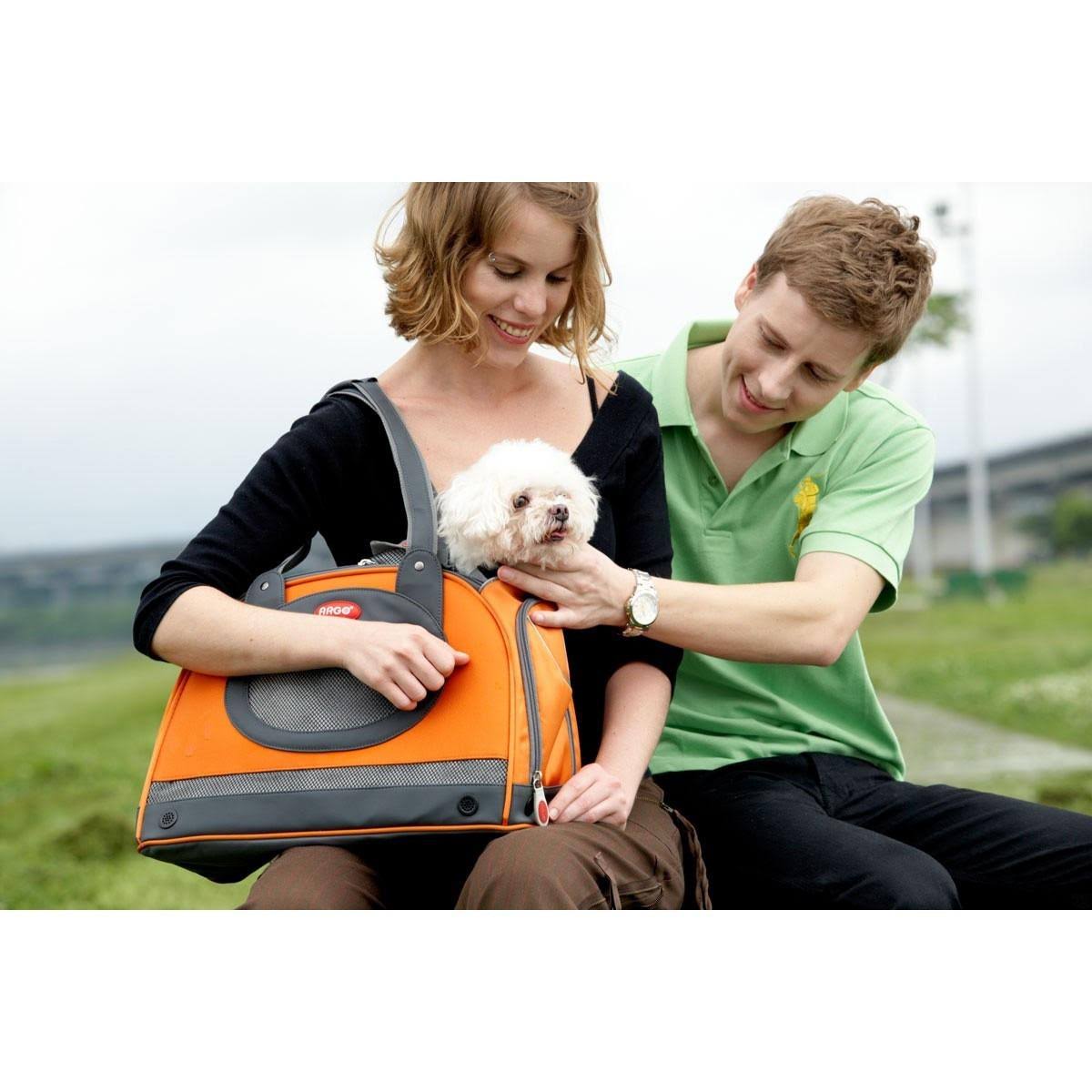 Green Pet Carrier Z72993