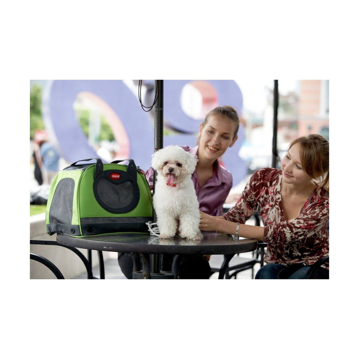 Green Pet Carrier Z72993