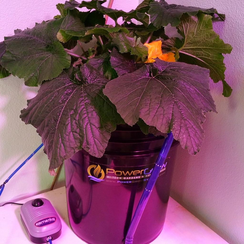 10 inch 5 Gallon Hydroponic Bucket Kit W902