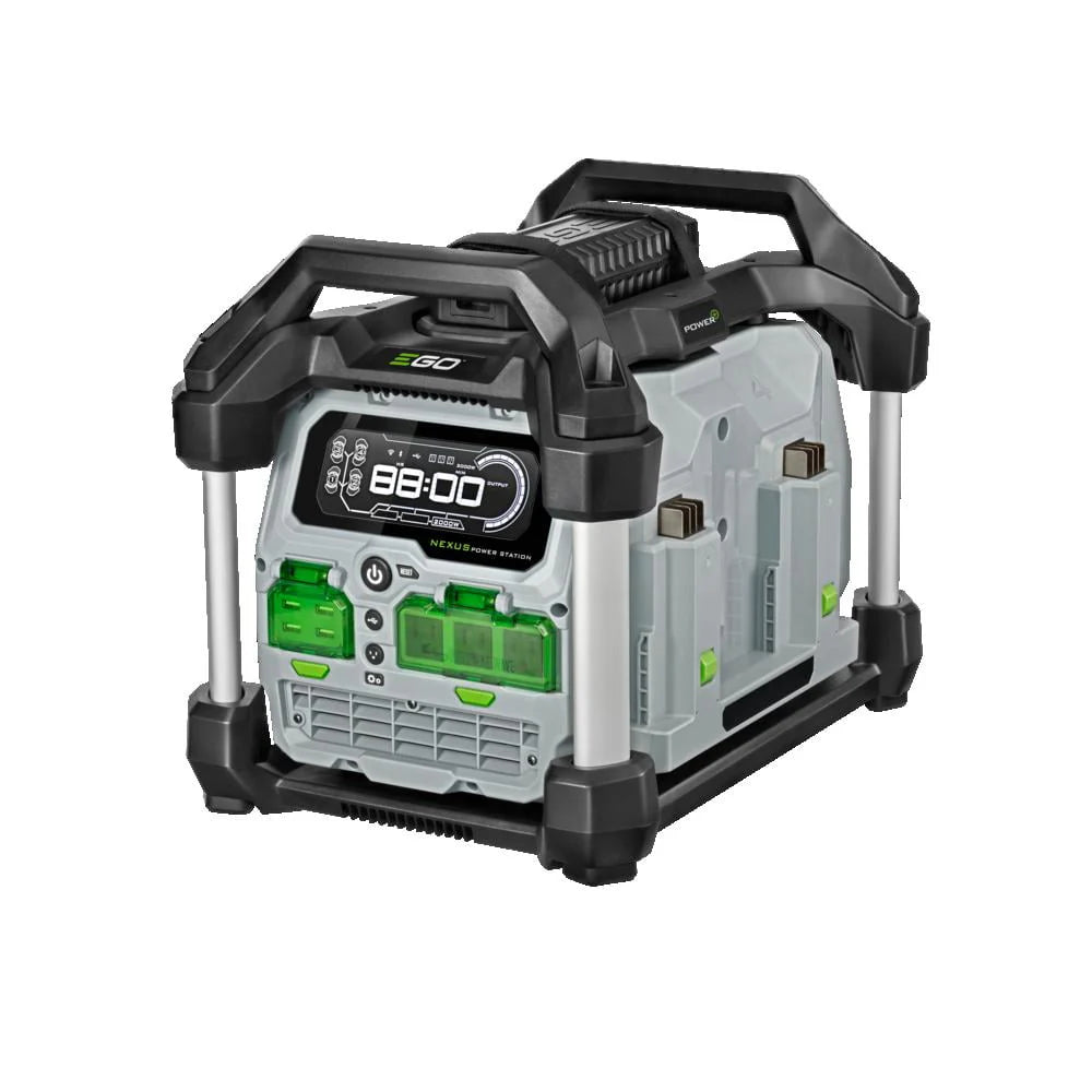 3000 Watt Portable Generator T195
