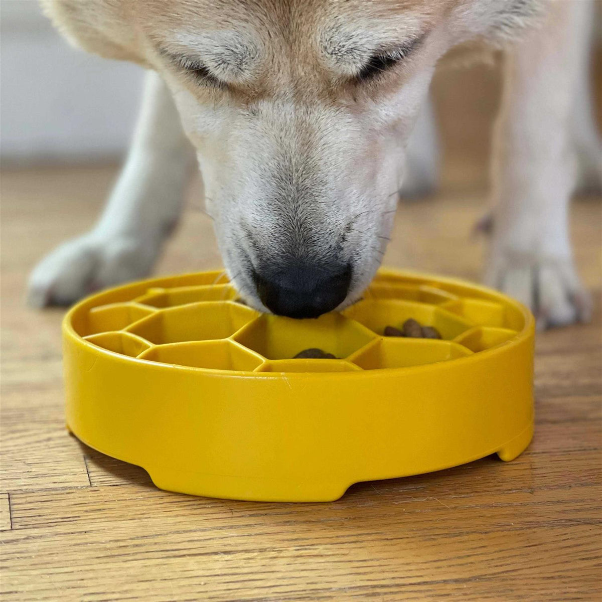Honeycomb Design Slow Feeder Bowl for Dogs U974662