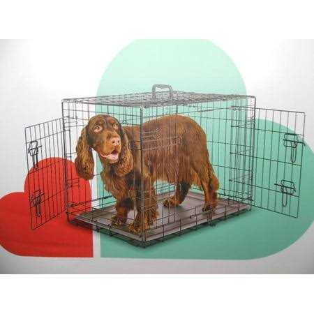Collapsible Dog Crate F420