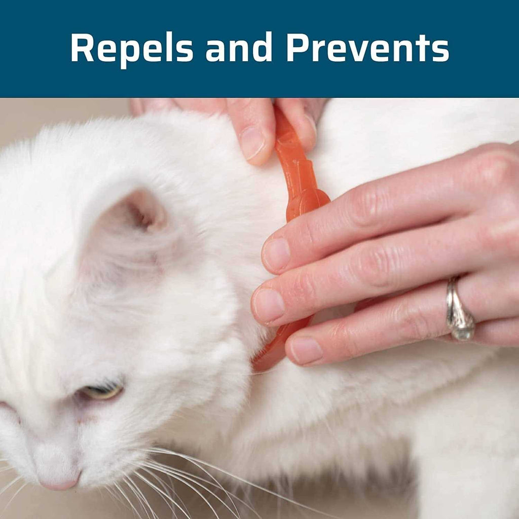 Flea & Tick Collar for Cats G353