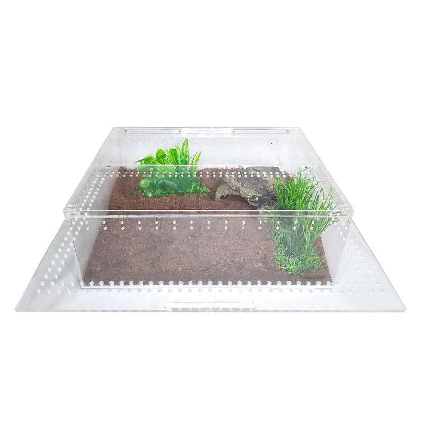 Acrylic Insect & Reptile Terrarium T813165