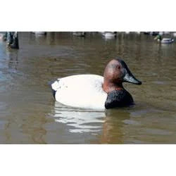 12-Volt Canvasback Swimmer Duck Decoy H3634