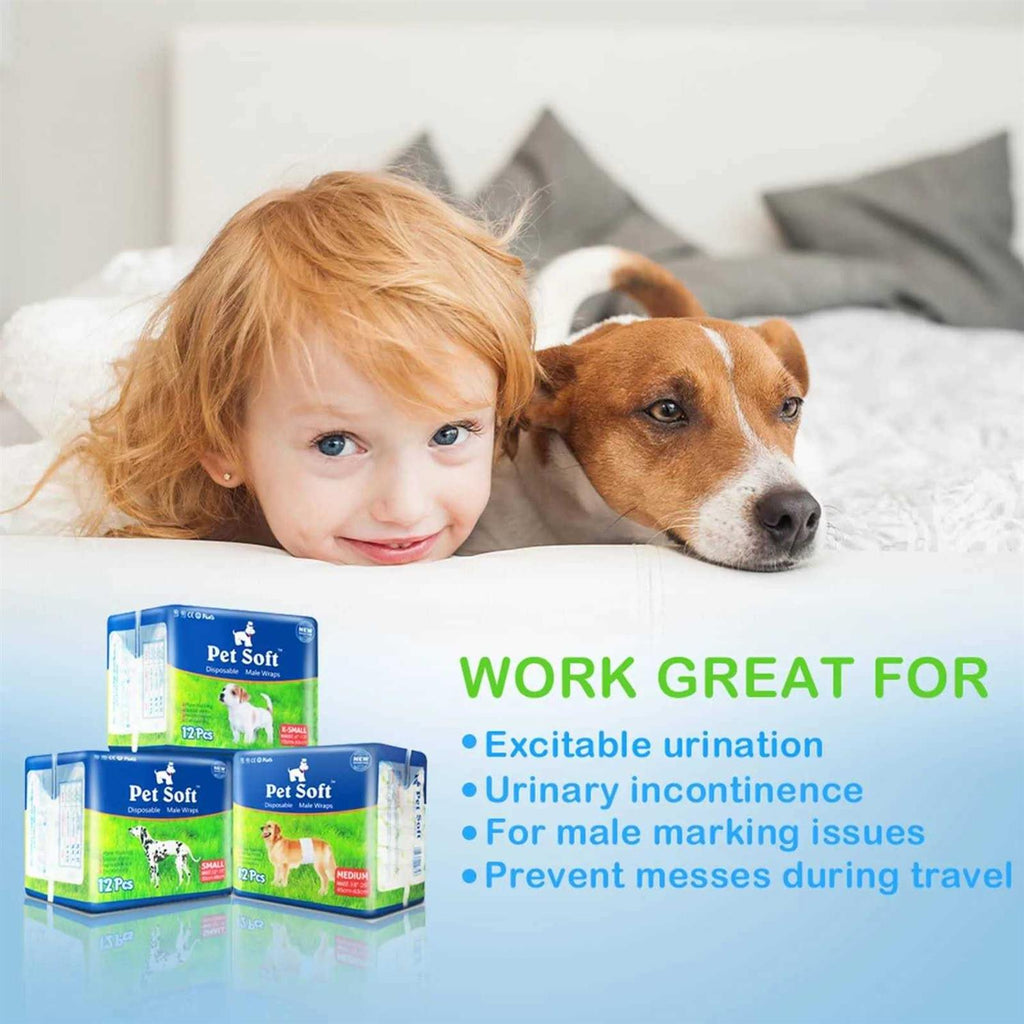 Disposable Male Dog Diaper 12Pcs B5116