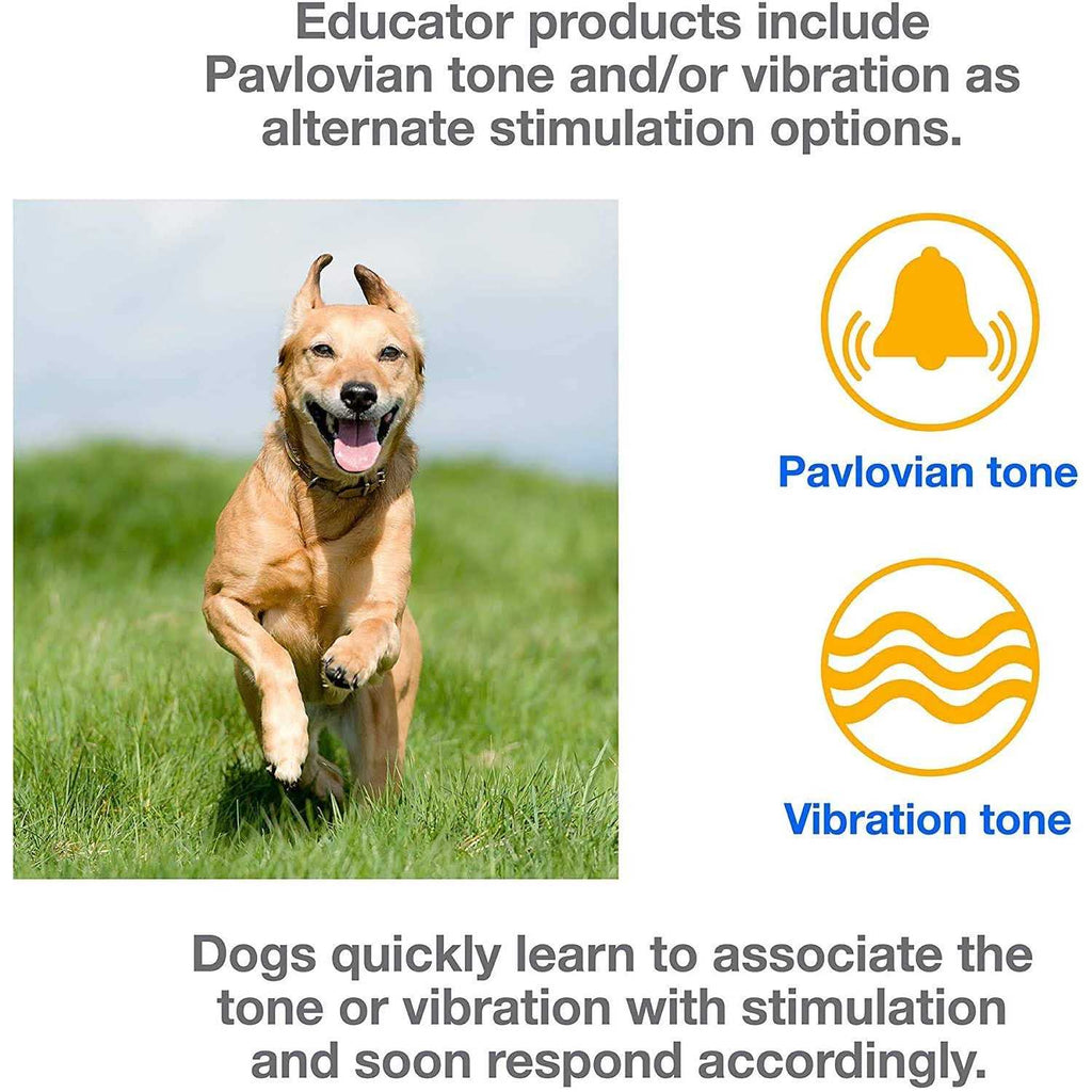 Dog Training Collar System with Remote L204332