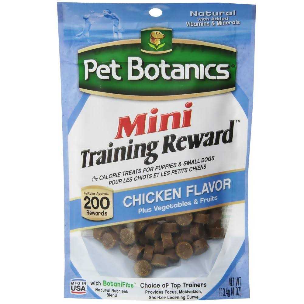 Mini Training Dog F86062