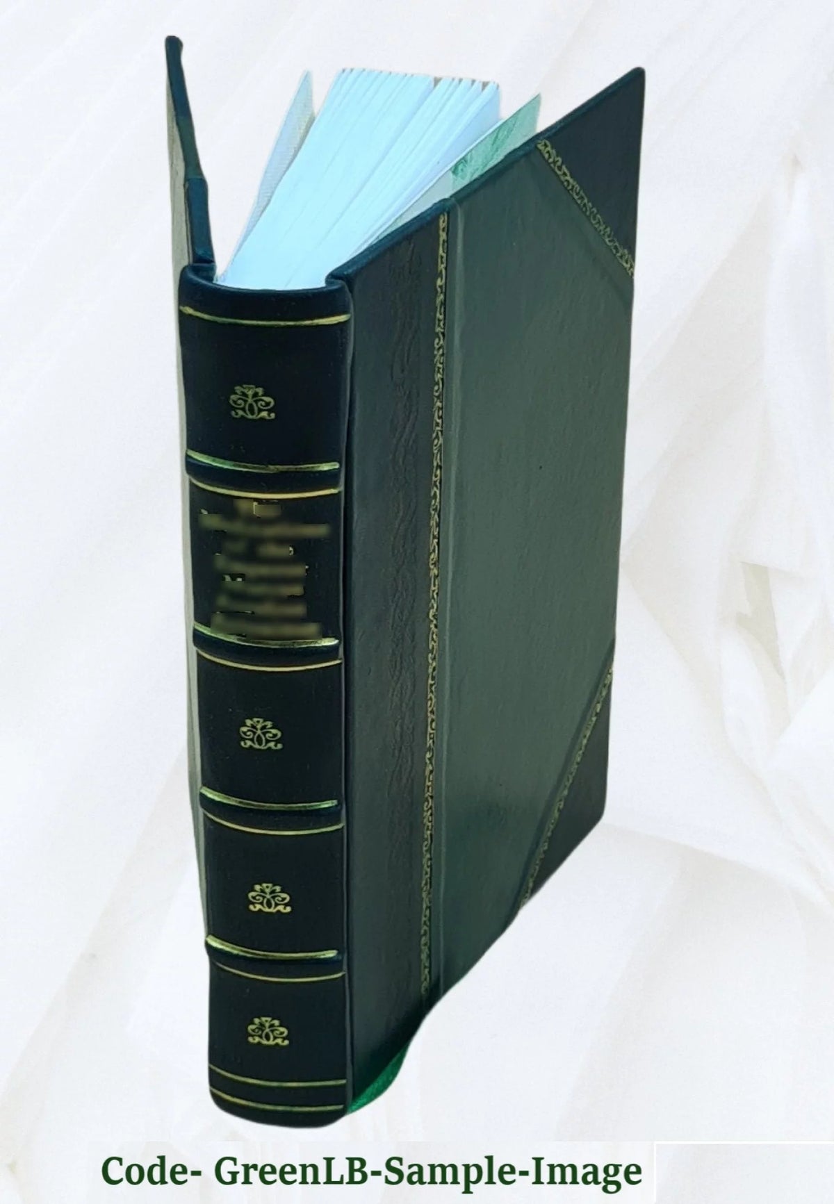 Leather Bound X3979