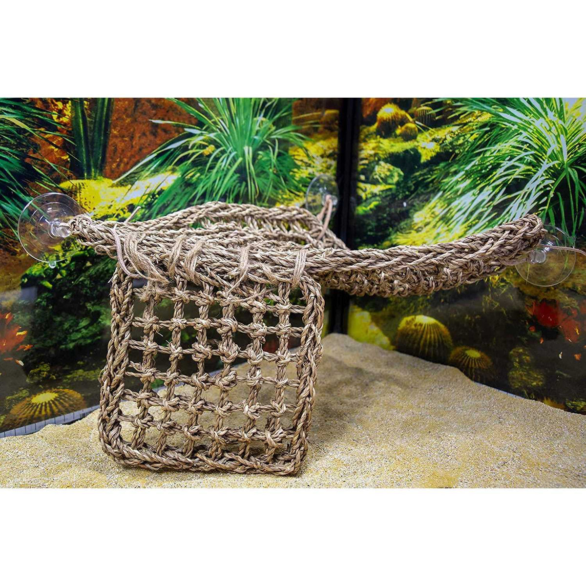 Lizard Lounger T959731